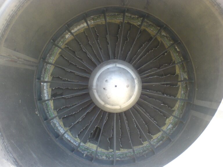Jet engine fan blades damaged by a bird strike